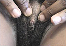 Click here for full access!