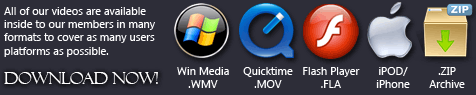 Supported Video Formats