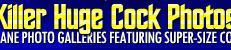 Click Anywhere For Full Access now!