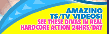 Click Here To Get Everything For $1.00