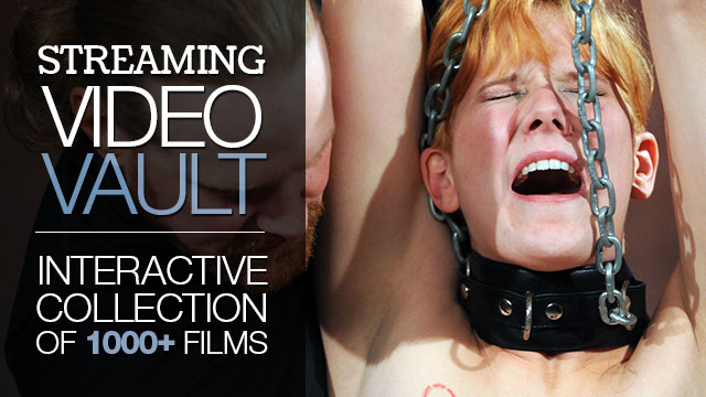 Interactive Streaming Video Vault