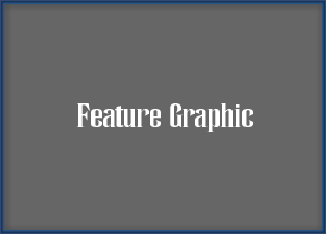 Feature Name